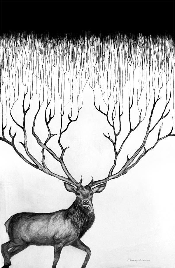 Deer With The Infinite Horns